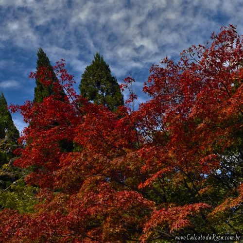 Arashiyama - As cores de outono na entrada