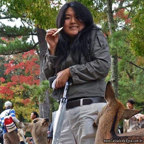 Levando uma mordida do veadinho em Nara