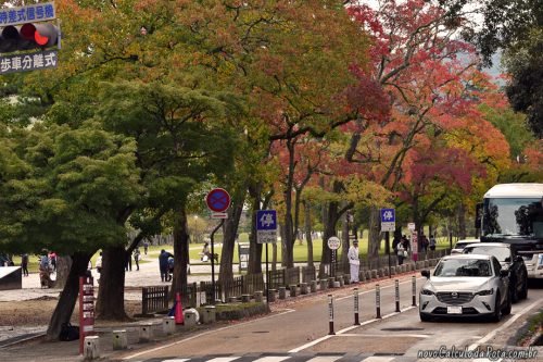 As proximidades do Nara Park e a paisagem de outono