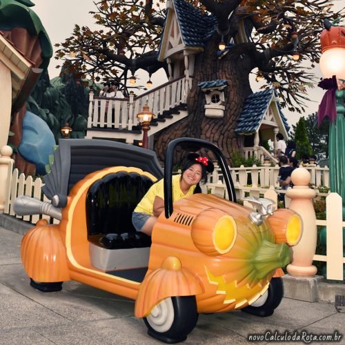 O capricho e detalhes da Tokyo Disneyland!