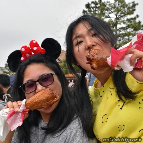 Turkey leg - a gigante coxa de Peru na Disney Tokyo