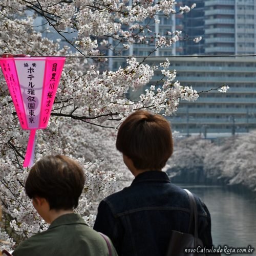 Não tem como não ficar boquiaberto com o Sakura em Meguro