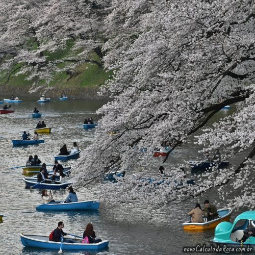 Um trânsito gostoso de enfrentar em Chidorigafuchi