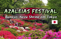 Santuário Nezu e o Festival das Azaleias de Bunkyo em Tokyo