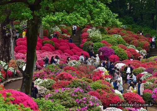 Caminhos floridos do Santuário Nezu em Tokyo