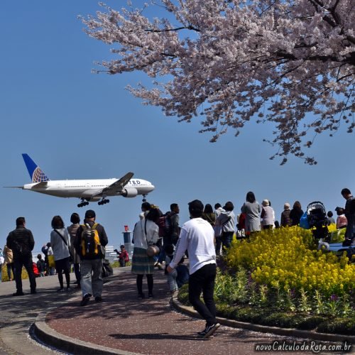 SakuraNoYama Park: cerejeiras e aviões num mesmo lugar