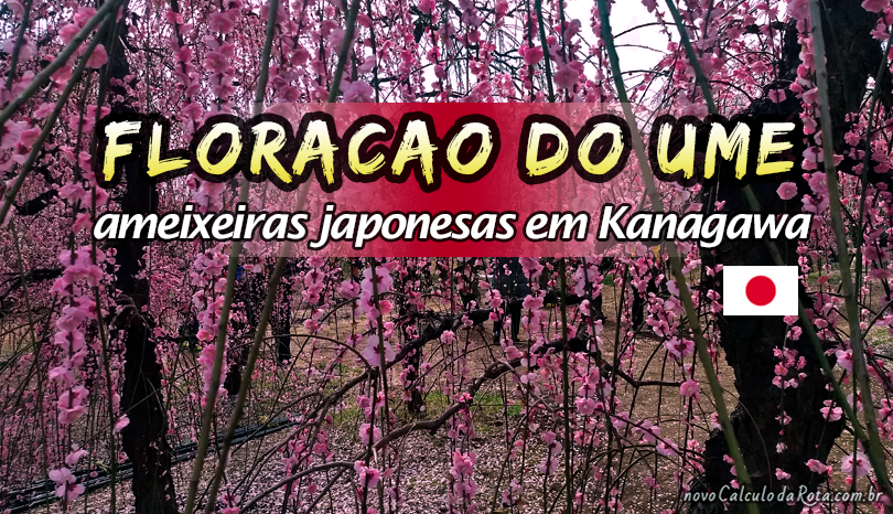 Floração do Umê (ameixeiras) em Sogabessho Bairin - Kanagawa